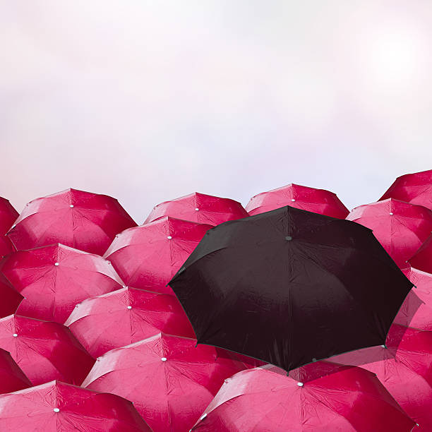istock Black umbrella in a red umbrella gorup. Concepcion regarded the 479236452