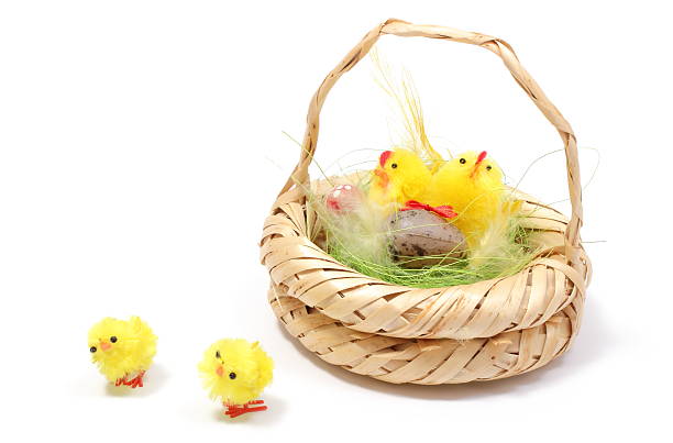 istock Easter chickens in wicker basket on white background 479236901