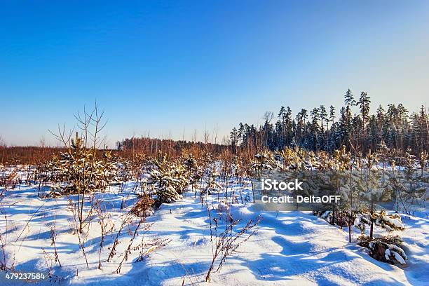 Winter Field Stock Photo - Download Image Now - 2015, Abstract, Beauty In Nature