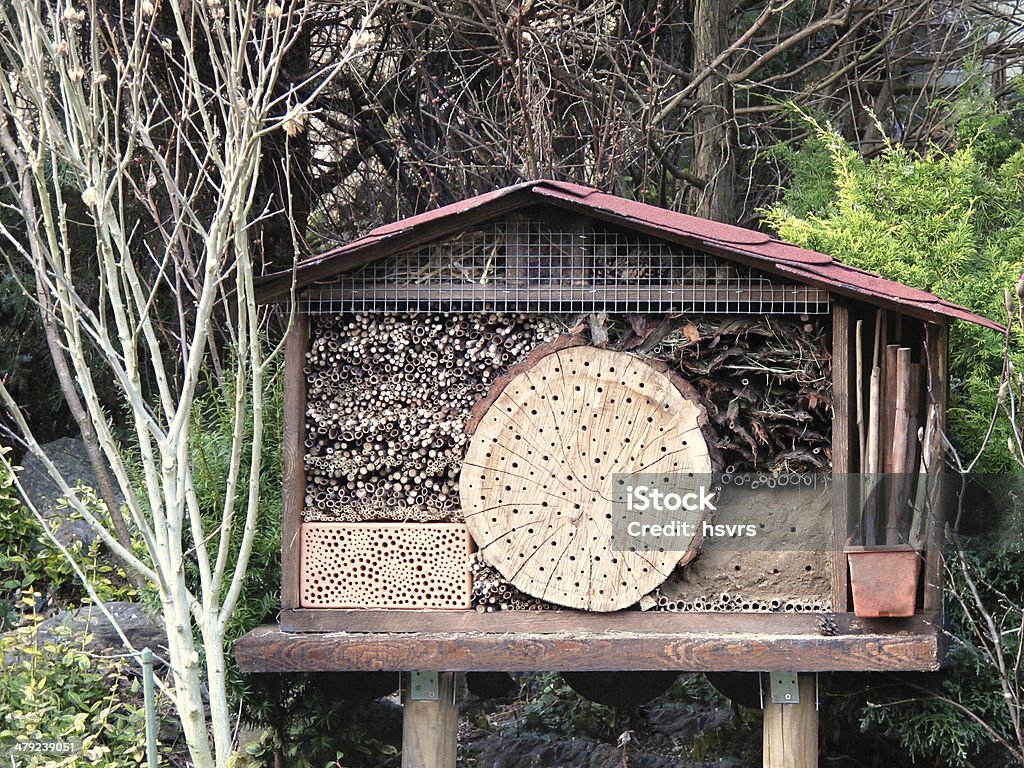 Insecto hotel - Foto de stock de Abeja libre de derechos