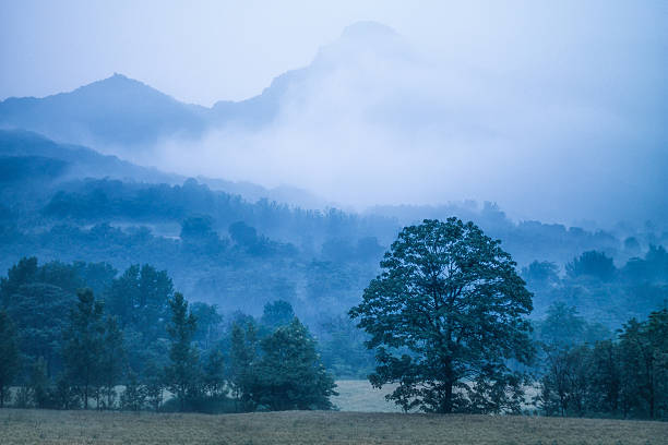 song shan mountains - shaolin stock-fotos und bilder