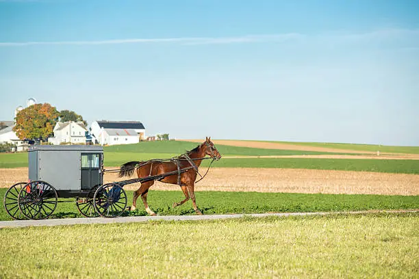 This is an Amish House & a buggy going to an event in the morning. 