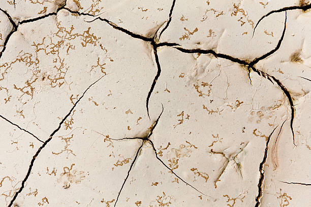 istock Pattern created from a photo cracked earth. Dry weather, drought. 479247108