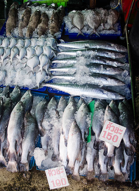 istock Fresh fish on ice on the market 479247822