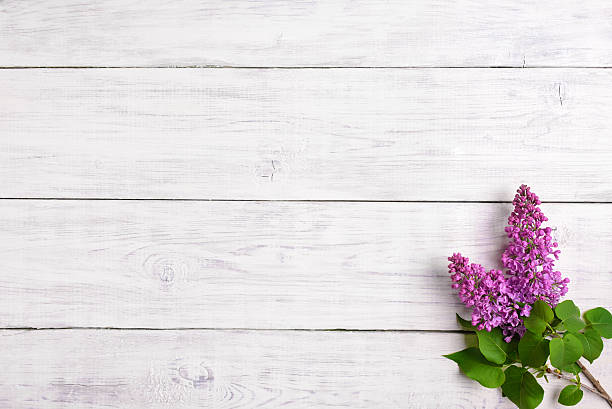 istock The beautiful lilac on a wooden background 479248746