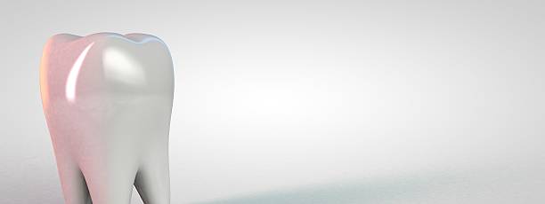 istock Tooth molar tooth Dental Hygiene Dentist 3D white 479251642