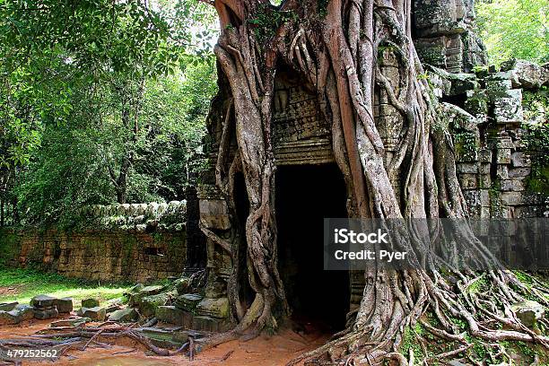 The Rooted Door Of Ta Som Angkor Cambodia Stock Photo - Download Image Now - 2015, Adventure, Angkor
