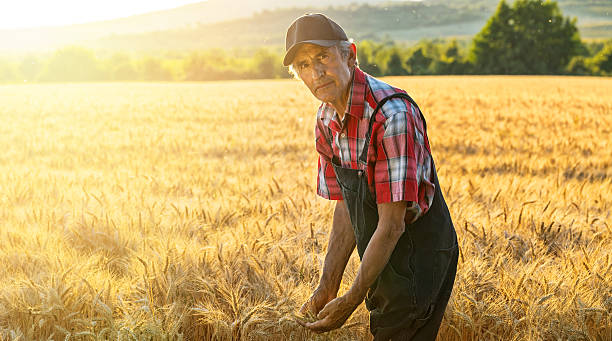 istock Farmer over looking the success of his crops 479255152