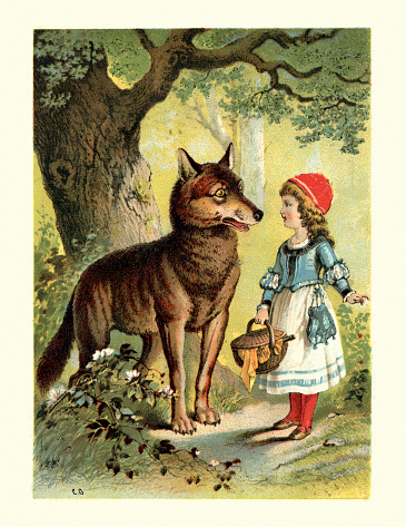 Vintage colour engraving of Little Red Riding Hood and the Wolf. Little Red Riding Hood, or Little Red Ridinghood, also known as Little Red Cap or simply Red Riding Hood, is a European fairy tale about a young girl and a Big Bad Wolf. 1898