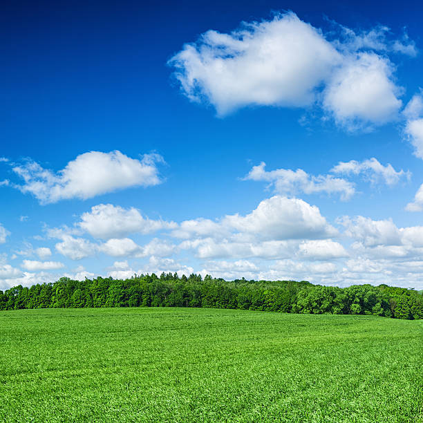 Landscape panorama near Brunnthal south of Munich.