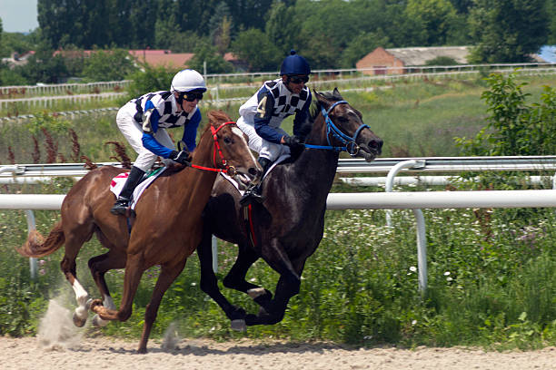 course de chevaux - horse horse racing animal head horseracing track photos et images de collection