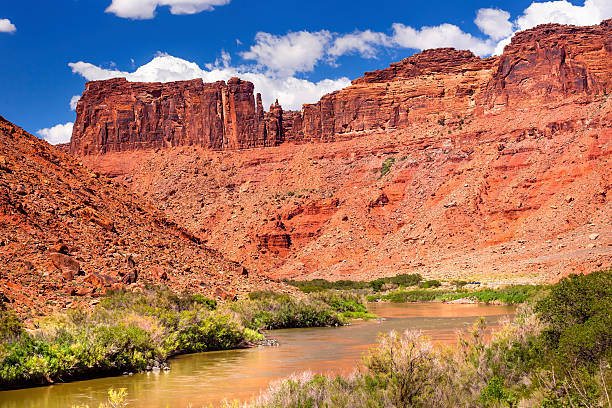 istock Colorado River Rock Canyon Moab Utah 479265127