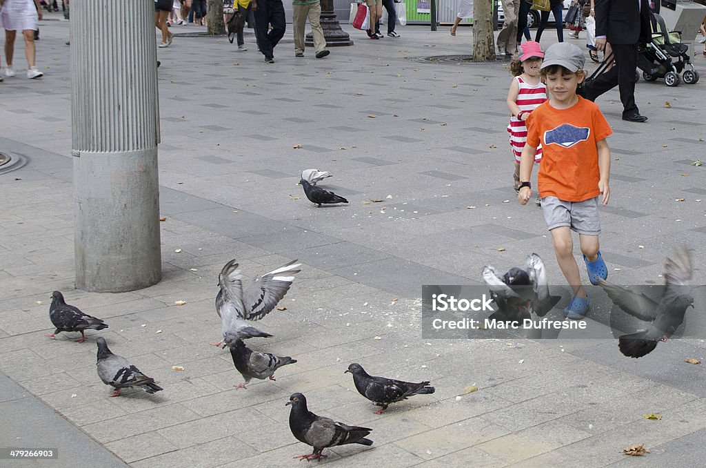 Running after pigeons A young boy and girls running after pigeons on the sidewalk 4-5 Years Stock Photo