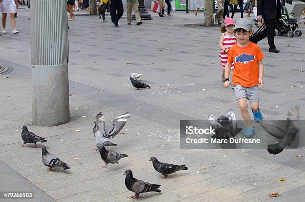 Running After Pigeons Stock Photo - Download Image Now - 4-5 Years, 6-7 Years, Bird