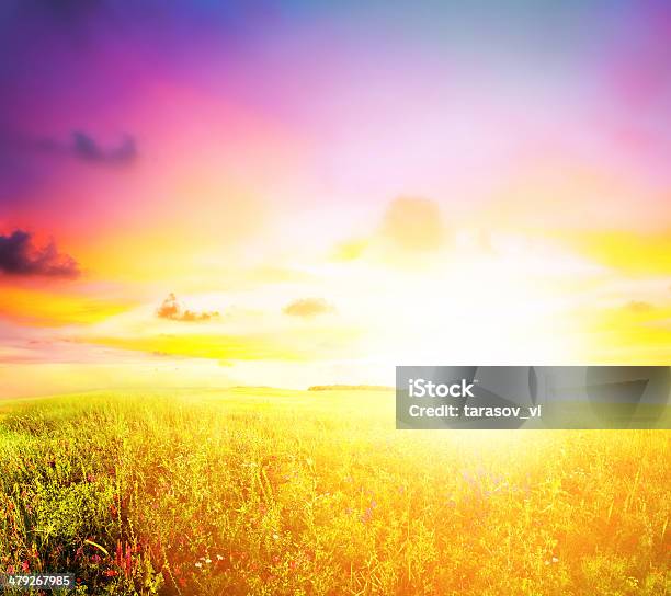 Meadow Sunset Stock Photo - Download Image Now - Agricultural Field, Agriculture, Astronomy