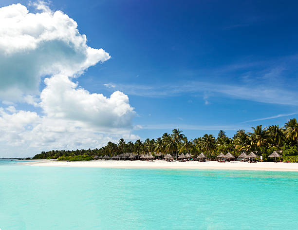 istock Maldivian coast travel to paradise 479268341