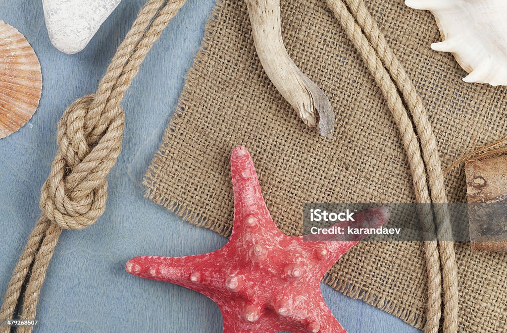 Seashells, ship rope and burlap Seashells, ship rope and burlap over wooden background Animal Shell Stock Photo