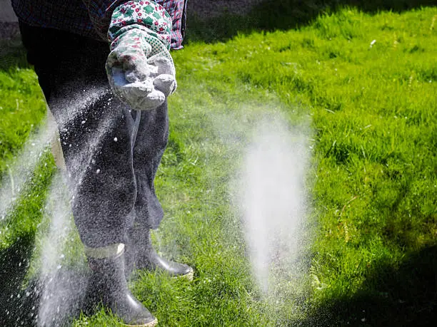 Woman take care of the lawn and fertilize