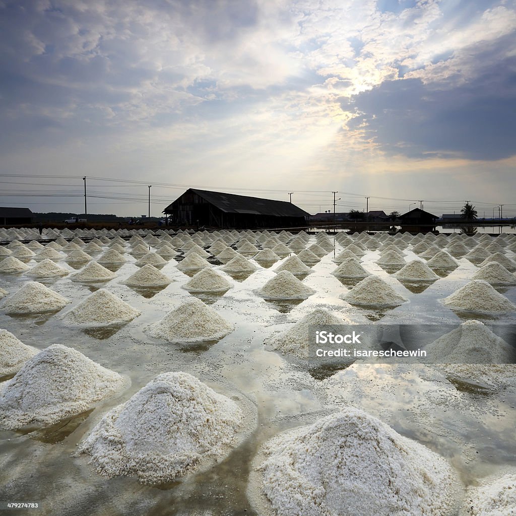 Salt heaps Salt heaps in salt farm, Thailand Agricultural Field Stock Photo