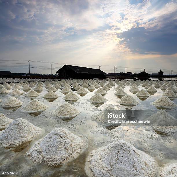 Salt Heaps Stock Photo - Download Image Now - Agricultural Field, Agriculture, Asia