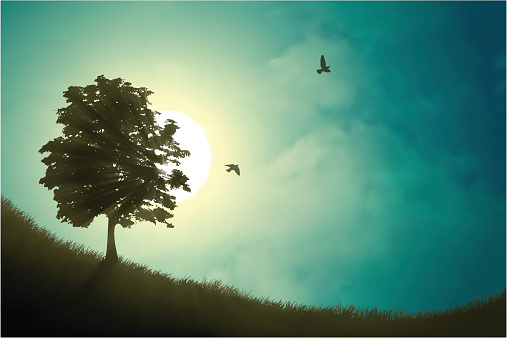 Vector illustration of a beautiful landscape with trees and birds in the morning mist.