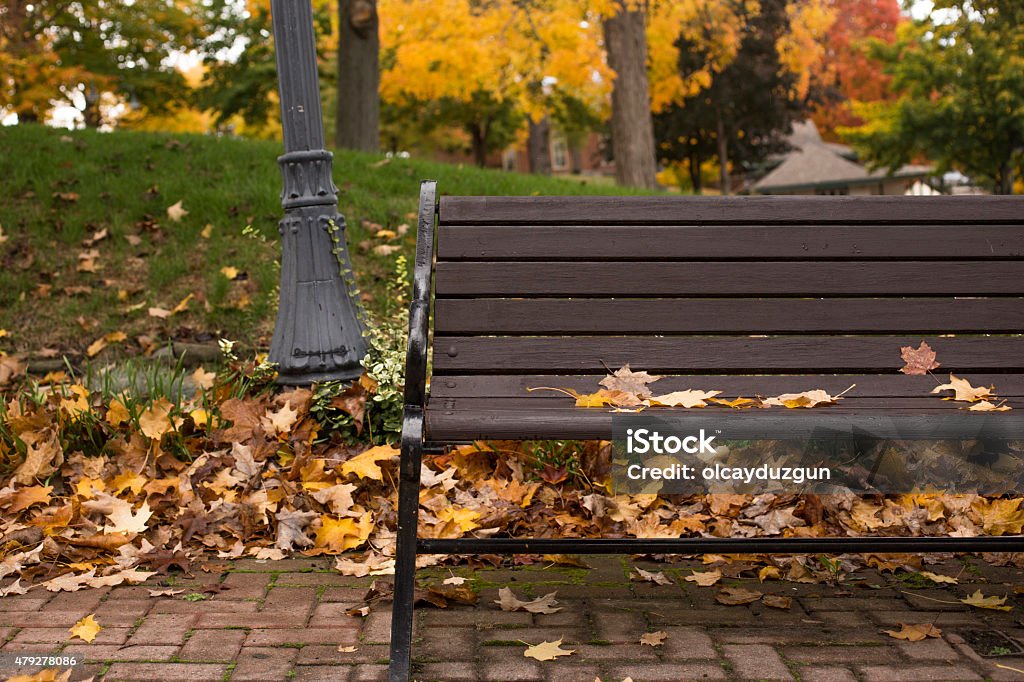 Bench in Autumn Bench Stock Photo