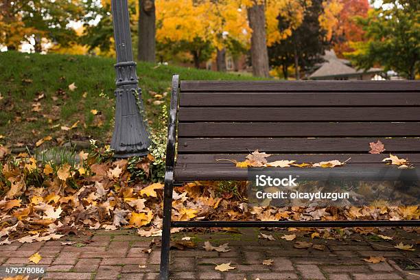 Bench In Autumn Stock Photo - Download Image Now - Bench, Front View, Wet