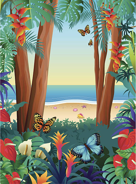 illustrazioni stock, clip art, cartoni animati e icone di tendenza di vista oceano tropicale - papilio zagreus