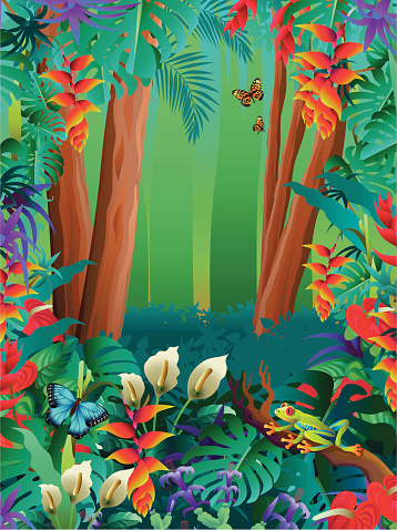 A vector illustration of tropical butterflies and tree frog in the rainforest.
