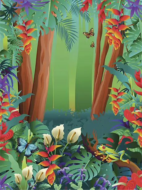 Vector illustration of tropical butterflies and tree frog in the rainforest