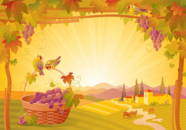 illustrazioni stock, clip art, cartoni animati e icone di tendenza di autunno lanscape cesto con uva - landscaped sign farm landscape