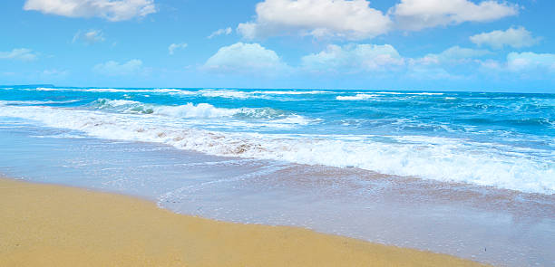 istock blue sea and golden shore in sardinia 479282458