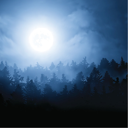 Vector illustration of a night landscape. Blue full moon over the pine forest.