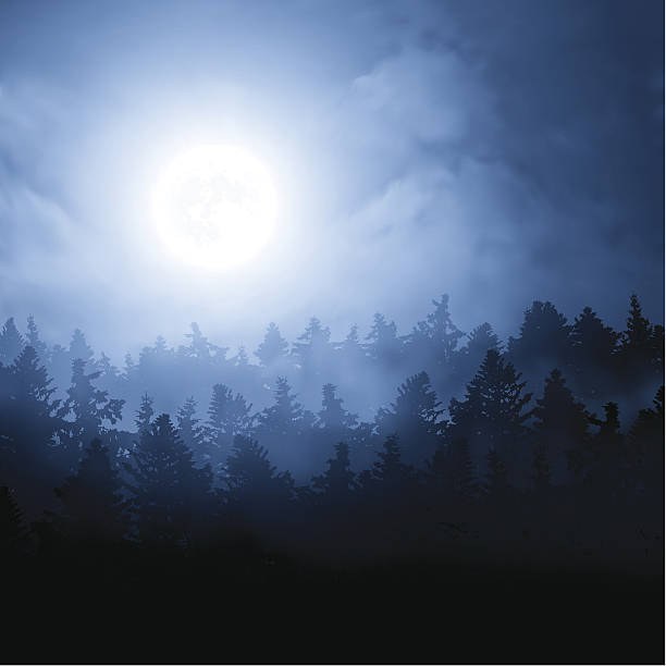 Moon over the forest Vector illustration of a night landscape. Blue full moon over the pine forest. moon backgrounds stock illustrations