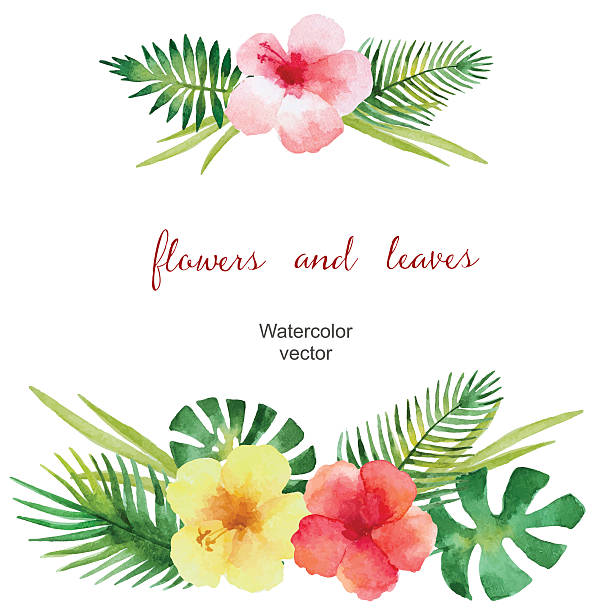 Watercolor bouquet Watercolor bouquet of hibiscus flowers and tropical green leaves, isolated on white background. Vector illustration. aloha single word stock illustrations