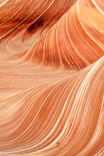The Paria Canyon-Vermilion Cliffs Wilderness is a 112,500 acres (455 km2) wilderness area located in northern Arizona and southern Utah, USA, within the arid Colorado Plateau region. The wilderness is composed of broad plateaus, tall escarpments, and deep canyons. The Paria River flows through the wilderness before joining the Colorado River at Lee's Ferry, Arizona.