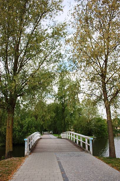 istock Bridge over 