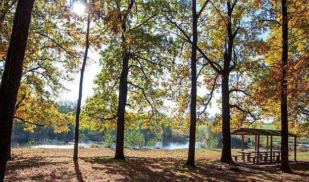 istock Autumn landscape over the lake 479289892