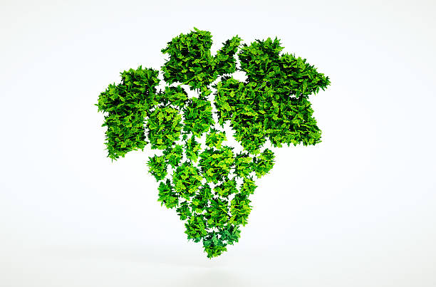 istock Bio grapes sign with included clipping path 479290016