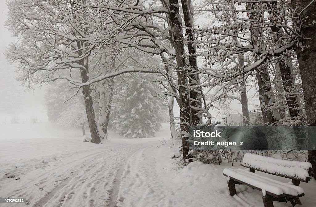 Winter landscape. Way to Freibergsee. Winter landscape. Way to Freibergsee, Oberstdorf. Alps, Germany. Oberstdorf Stock Photo