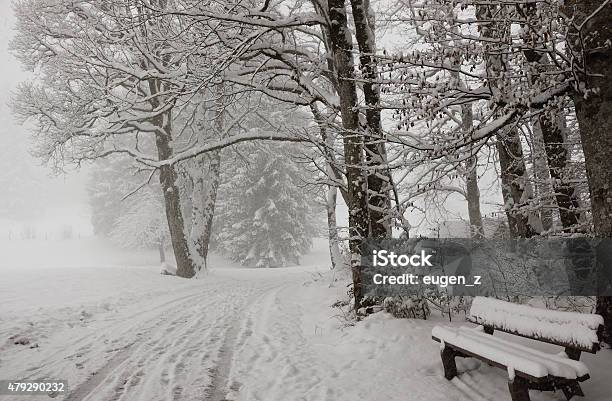 Winter Landscape Way To Freibergsee Stock Photo - Download Image Now - Oberstdorf, Winter, 2015