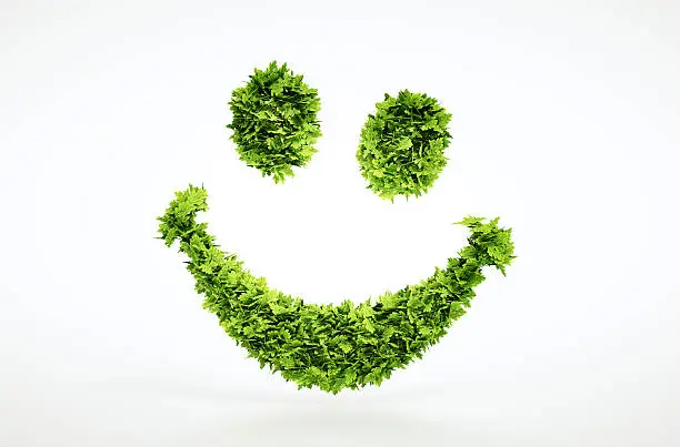 Photo of Ecology 3d render smile face sign