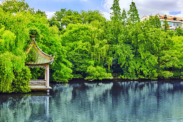 istock Typical Chinese garden,  park with bizarre rocks. Beijing. 479292520
