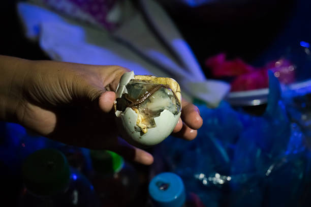 Balut is a special cuisine in Asia Balut boiled developing duck embryo is a special cuisine in Asia. it&#39;s very popular in Philippine, Vietnam, Lao and Cambodia delaware chicken stock pictures, royalty-free photos & images