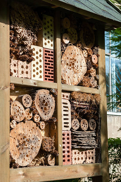 istock insect hotel in garden 479293010