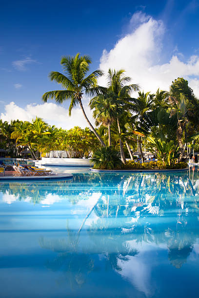 istock art Deckchairs in tropical resort hotel pool 479293478