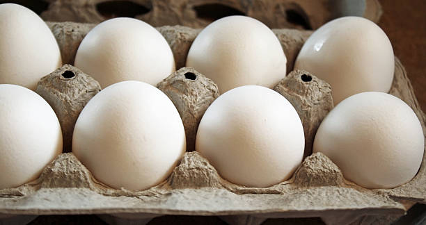 istock Carton of Wholesome and nutritious Organic white eggs 479293608