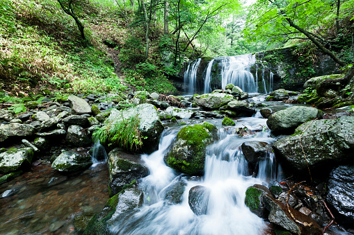 waterfall & mountain stream flows through lush forest foliage in summer