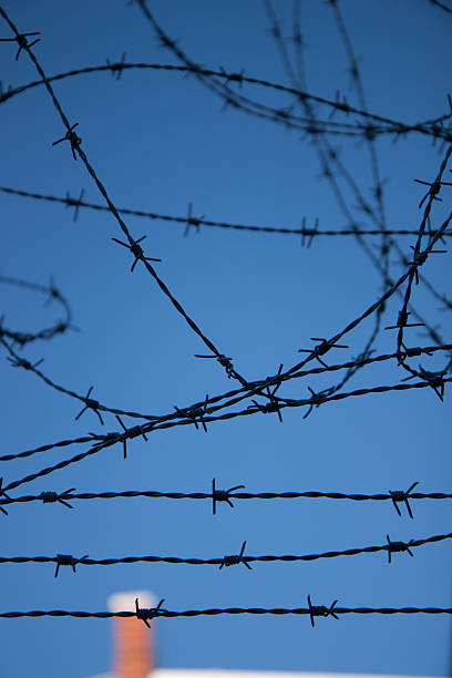 Barbed Wire stock photo