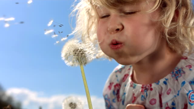 HD Super Slow-Mo: Little Girl Blowing Dandelion Seeds